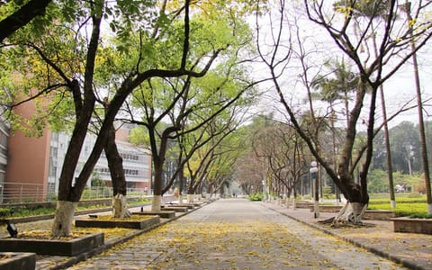 广东外语外贸大学·校道