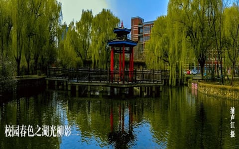 沈阳化工大学·湖光柳影