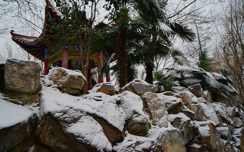 南阳理工学院·静冬雪飘