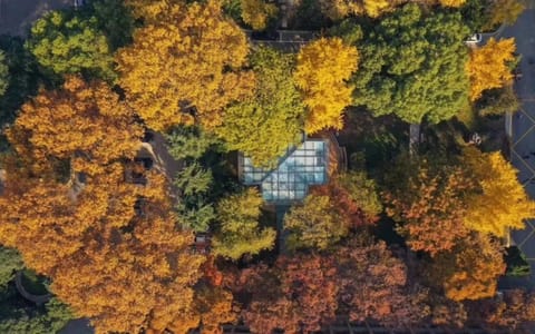 南京医科大学·校园风光