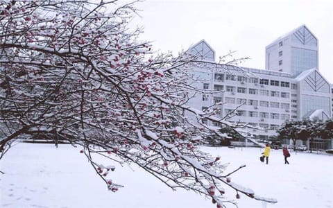 浙江水利水电学院·雪景