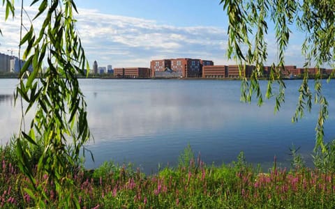 天津理工大学·明理湖