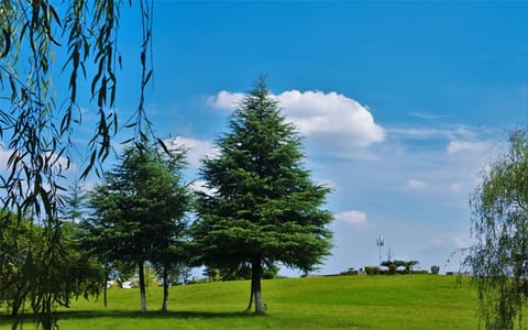 成都东软学院·校园风景11