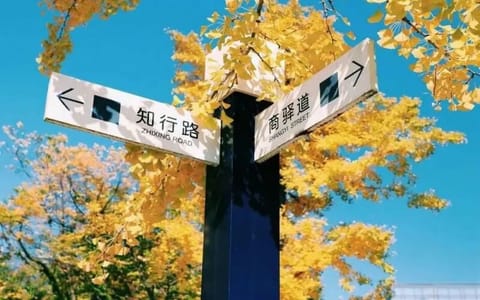 贵州商学院·秋天的路标