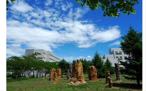 大连大学·校园一角2