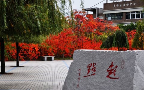 沈阳建筑大学·大学生活动中心侧