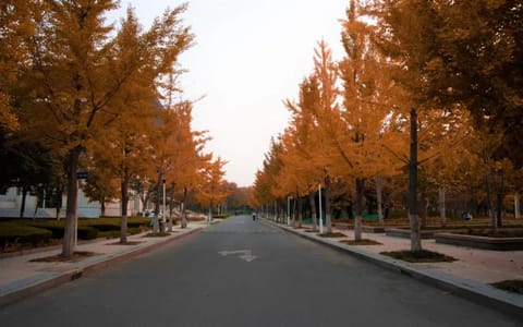 山东农业大学·校园风光