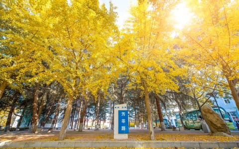 西安明德理工学院·校园风光