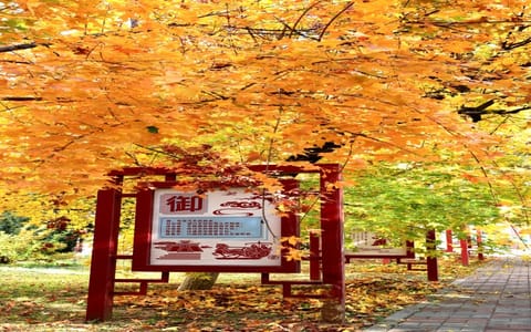 河北石油职业技术大学·校园风光