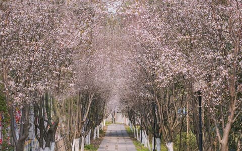 西南科技大学·校园风光