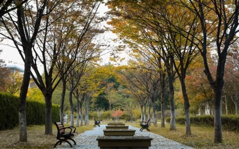 宿迁学院·校园风光