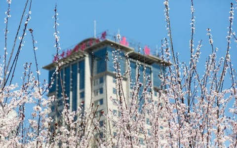 南京航空航天大学·将军路校区主楼