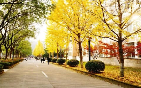 丽水学院·秋景