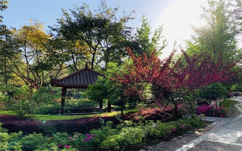 四川师范大学·四川师范大学1