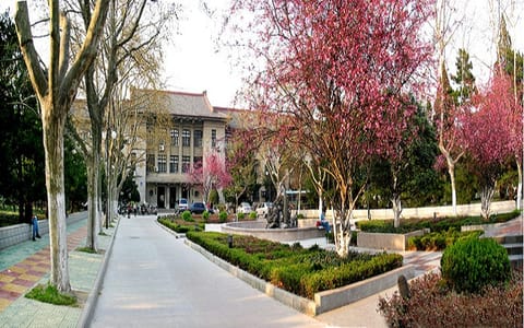 安徽农业大学·校园风景1