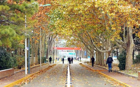北京师范大学·秋冬之交