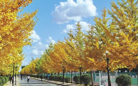 沈阳农业大学·天柱山路