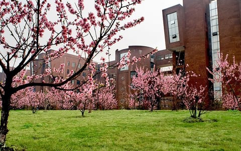江西师范大学·名达楼