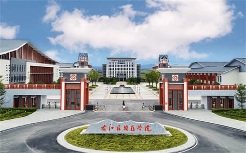 右江民族医学院·百东校门