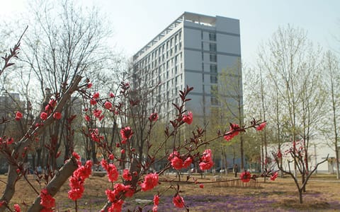河北金融学院·校园风光9