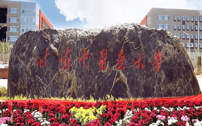 甘肃中医药大学主图·校门