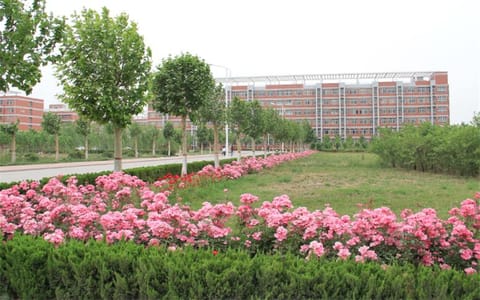 新乡学院·花色