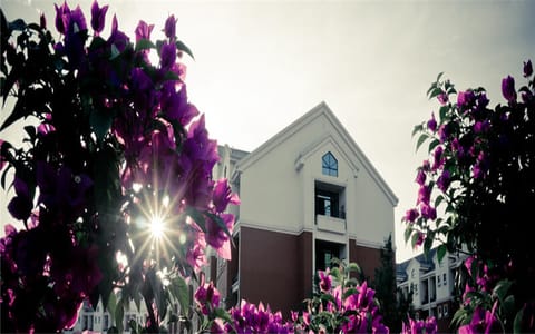 重庆财经学院·校园春色