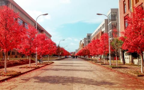 文华学院·校园风光