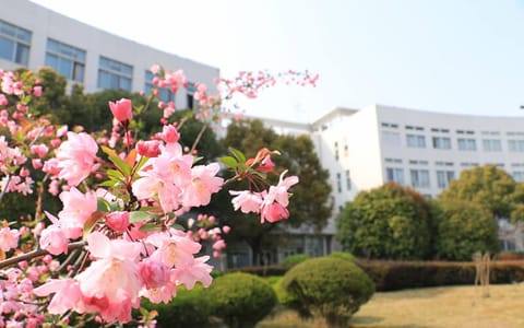 上海第二工业大学·校园四月天