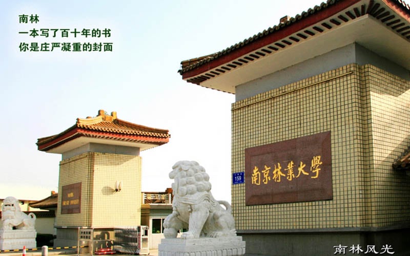 南京林业大学主图·校园风光