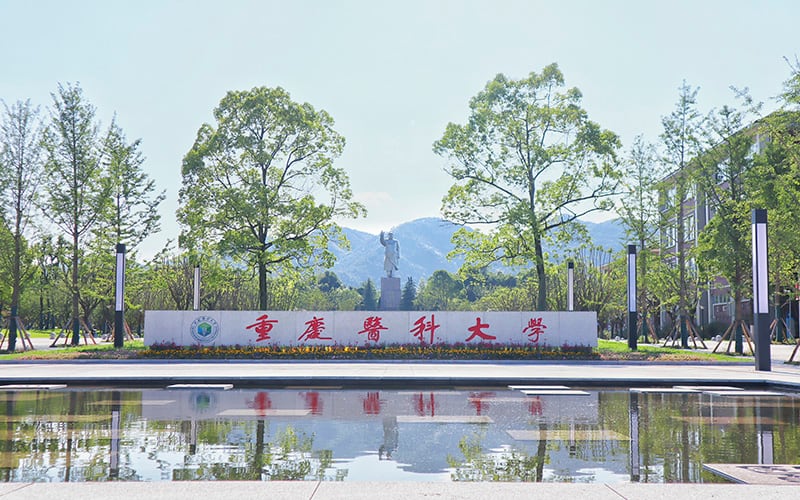 重庆医科大学主图·校门