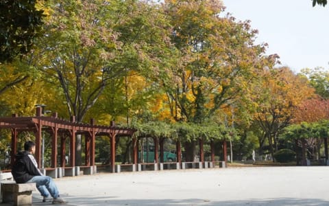 山东农业大学·校园风光