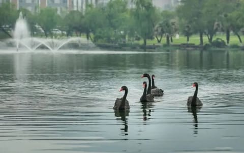 桂林电子科技大学·校园风光