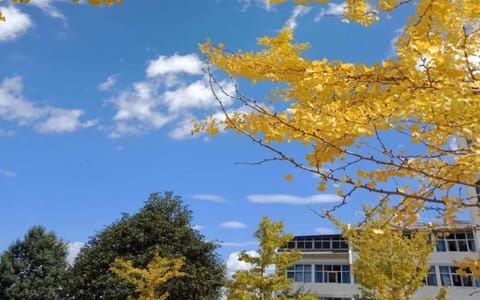 大理大学·风景
