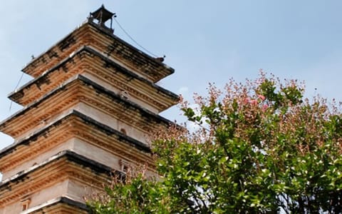 楚雄师范学院·塔