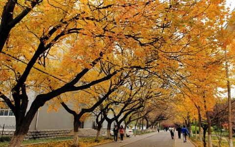 山东师范大学·校园风光