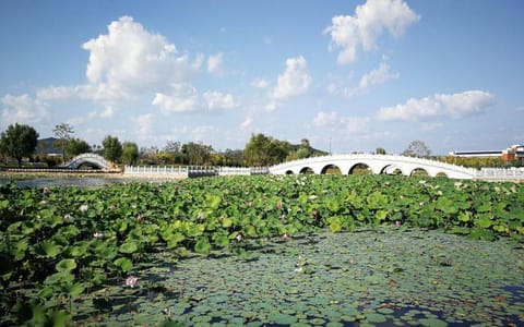 辽宁师范大学海华学院·校园风光10