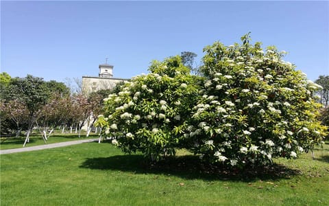 宁波诺丁汉大学·花园