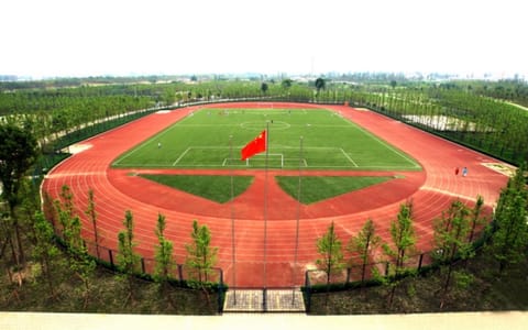 电子科技大学·电子科技大学6