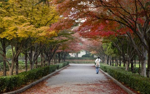 河南科技大学·西苑校区