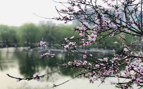河北科技大学·校园风光