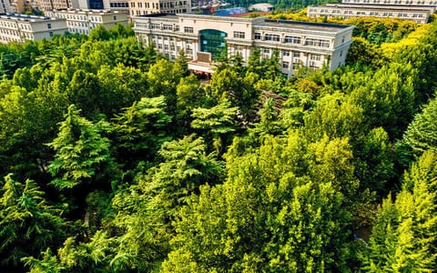 郑州美术学院·远眺综合楼