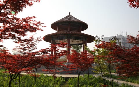 信阳师范大学（原信阳师范学院）·校园风光