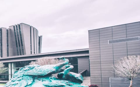 云南艺术学院·云南艺术学院2