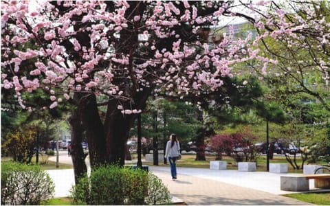 沈阳农业大学·复旦园