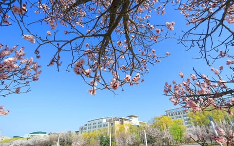吉林大学·校园景色
