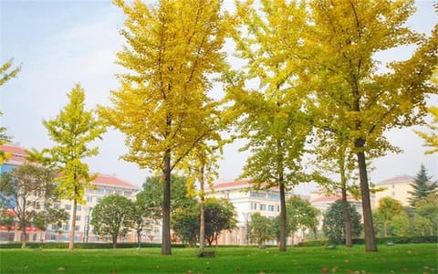 西安思源学院·秋景思源