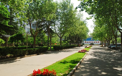 河北医科大学·校园一角