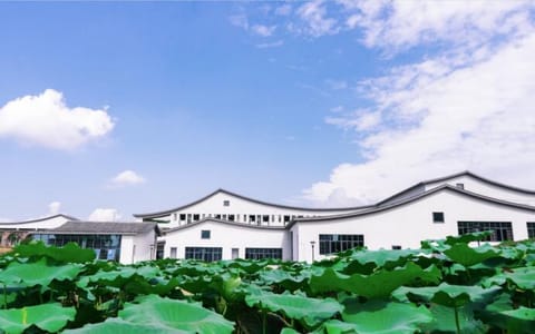 重庆移通学院·荷塘