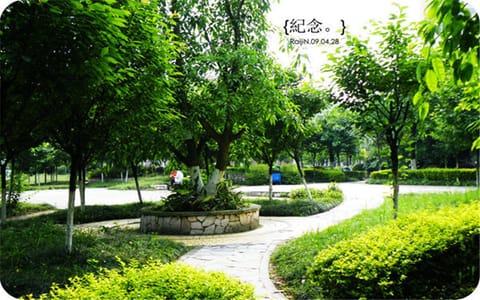 重庆对外经贸学院·菁菁校园